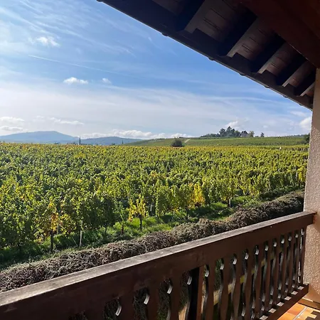 Panorama Des Vignes -alsace Experience アパート バール