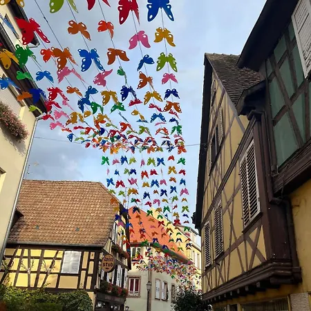 Panorama Des Vignes -alsace Experience アパート
