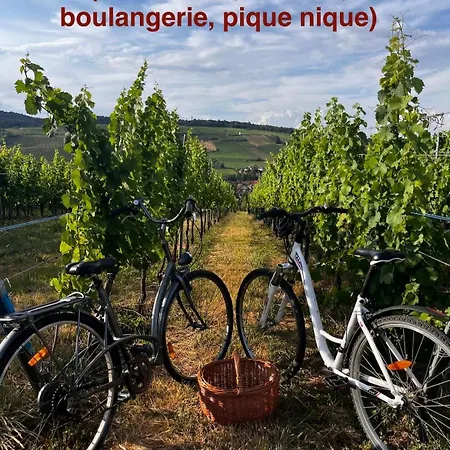 Apartman Panorama Des Vignes -alsace Experience *