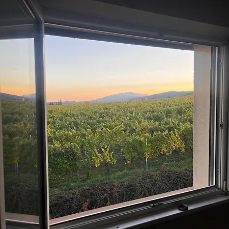 Panorama Des Vignes -alsace Experience Apartman