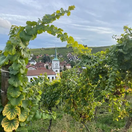 アパート Panorama Des Vignes -alsace Experience *