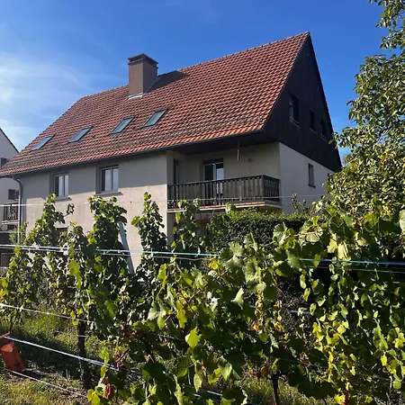 Panorama Des Vignes -alsace Experience *