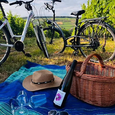 Panorama Des Vignes -alsace Experience * バール