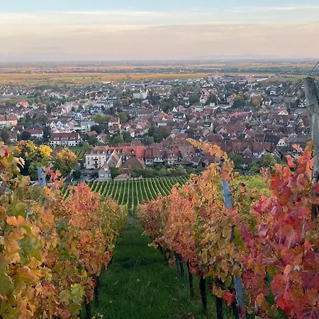 Panorama Des Vignes -alsace Experience アパート
