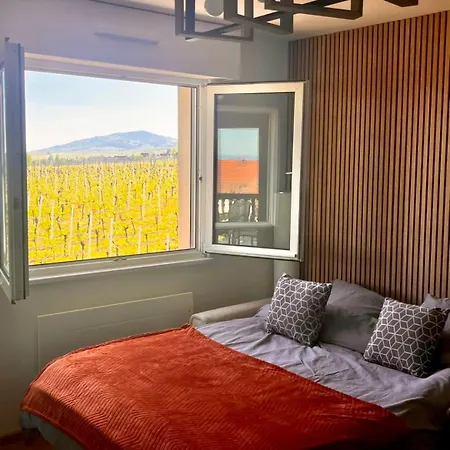 Panorama Des Vignes -alsace Experience アパート *