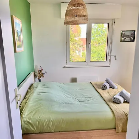 Apartment Panorama Des Vignes -alsace Experience
